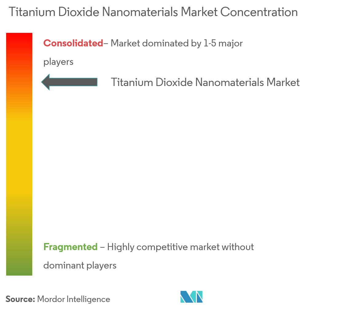 Titanium Dioxide Nanomaterials Market - Market Concentration